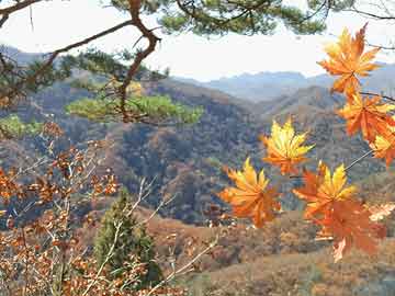 米非司酮在线下单美国3年期国债中标收益率低于发行前交易水平