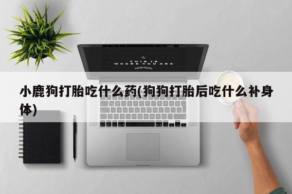 米非司酮在线下单小鹿狗打胎吃什么药(狗狗打胎后吃什么补身体)