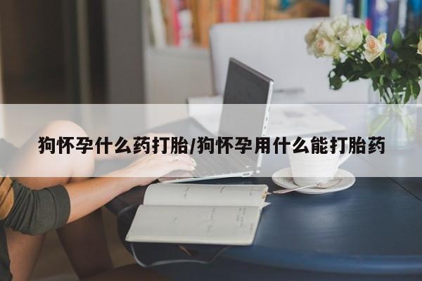 米非司酮在线下单狗怀孕什么药打胎/狗怀孕用什么能打胎药